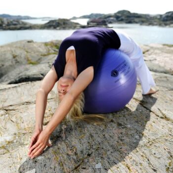 SISSEL® Securemax Exercice Ball Professional - Image 8